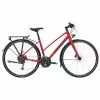 Bicicletta Trek FX 2 Disc Equipped Stagger - Satin Viper Red 2023 -Vendite BICICLETTE bicicletta trek fx 2 disc equipped stagger satin viper red 2023